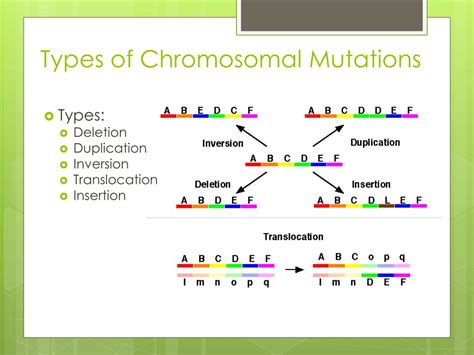 ppt mutations notes powerpoint presentation free download id 1888795