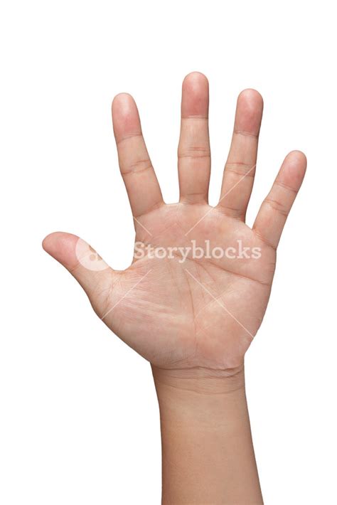 hand symbol royalty  stock image storyblocks