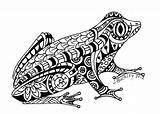 Frog Zentangle Coloring sketch template