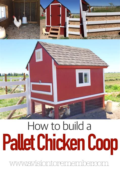 build  chicken coop  pallets  vision