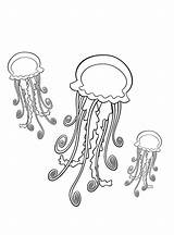 Colornimbus Coloring Pages Jellyfish sketch template