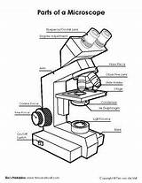 Microscope Diagram Worksheet Biology Quiz Parts Science Grade Drawing Printables Labeled Label Laboratory Medical School Para Diagrams Lessons Kids Labeling sketch template