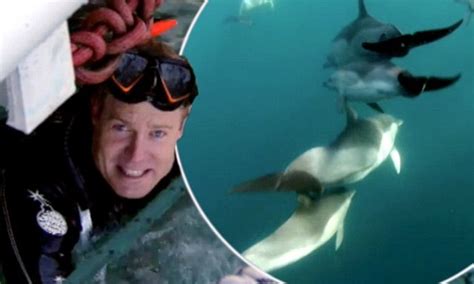 celebrity vet caught in the middle of dolphin orgy while swimming off
