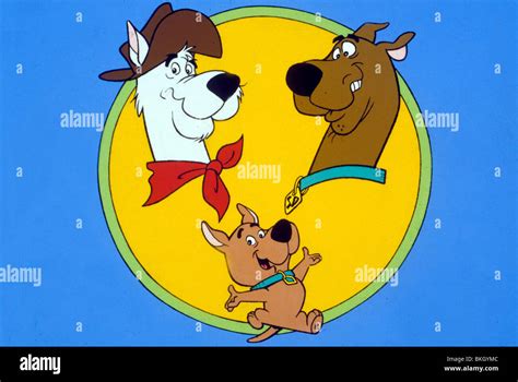 scooby doo tv shop outlet save 55 jlcatj gob mx