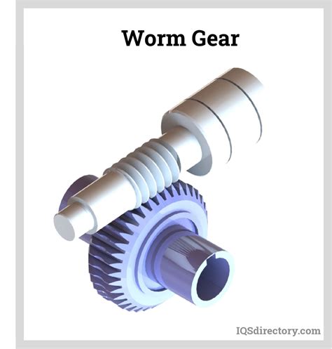 worm gear        types