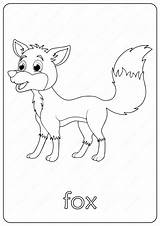 Fox Coloring Pages Outline Cute Printable Related Posts sketch template