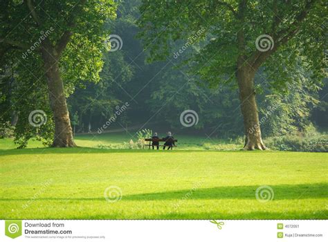 couple relaxing on park bench stock image image of