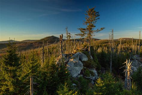 wandern im bayerischen wald bergwelten