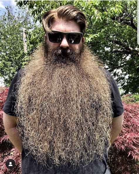 pin  william forney  big beard hair  beard styles long beard