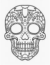 Skull Coloring Pages Printable Filminspector sketch template