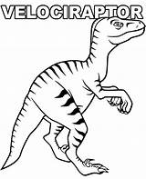 Coloring Velociraptor Pages Dinosaur Dinosaurs Print Printable Sheets Topcoloringpages Sheet sketch template