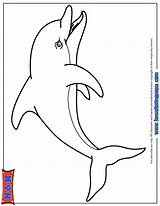 Dolphin Coloring Bottlenose Cartoon Pages Cliparts Designlooter Drawings Library Clipart 61kb sketch template