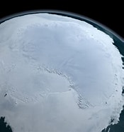 Image result for "epiplocyloides Antarctica". Size: 175 x 185. Source: www.reddit.com