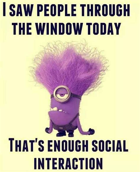 Thatll Be Enough Social Interaction For Today Purple Minions