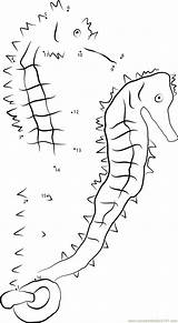 Seahorse Dot Tiger Tail Dots Connect sketch template