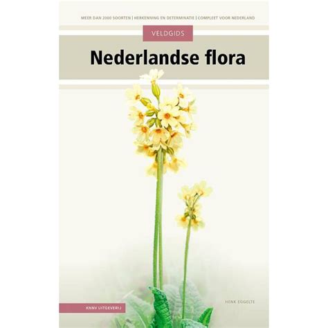 veldgids nederlandse flora blokker