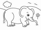 Elephant Cartoon Coloring Pages Printable Getcolorings Color Getdrawings sketch template