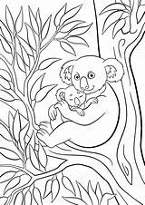 Koala Schattige Moeder Haar Slapende Netten Moeilijk Kleinen Bemuttern Ihrem Schlafenden Stockillustratie Dieren St3 Koalas Volwassenen Mayka sketch template