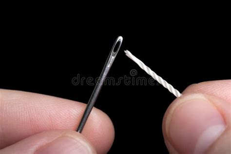 sewing needle  thread stock photo image  female