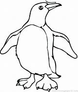 Penguins Pittsburgh Coloring Getdrawings Drawing sketch template