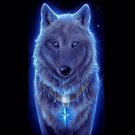 edit    credit    anime wolf artwork lobo wolf artwork wolf