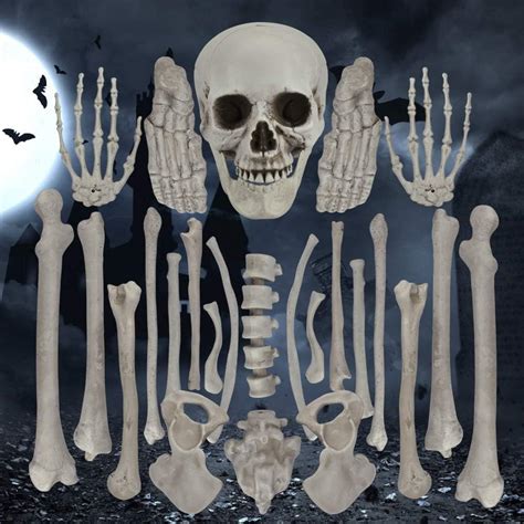 decareta  stueck skelett halloween deko plastik skelettknochen
