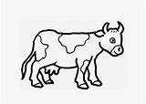 Cow Coloring Baby Cartoon Pages Kids Drawing Simple Animals Cows Clipart Cute Clipartbest Getdrawings Book sketch template