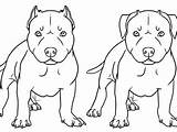 Pitbull Nose Drawing Puppy Red Drawings Puppies Blue Coloring Draw Pages Dog Pit Bull Tattoos Getdrawings Paintingvalley Choose Board sketch template