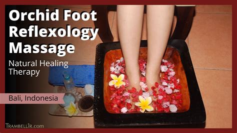 orchid foot reflexology massage natural healing therapy trambellir