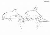 Dolphin Coloring Dolphins sketch template