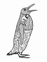 Zentangle Pinguino Stilizzato Penguin Sketch Stylized Schizzo Tatuaggio Maglietta Penci sketch template