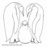 Emperor Penguins Penguin Coloring Pages Color Printable Baby Drawing Kids Template Line Drawings Choose Board Own Sketch Print Sketchite Belly sketch template