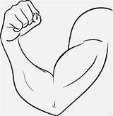 Bizeps Muscle Spierbal Starken Mannes Biceps Tekening Clipartmag Insertion sketch template