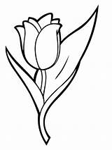 Coloring Tulip Pages Flowers Flower Tulips Recommended Color sketch template