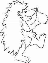 Hedgehogs Pear sketch template