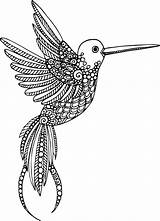 Coloring Animal Pages Advanced Hummingbird Kidspressmagazine Adult Mandala Mandalas Bird Now Adults Template sketch template