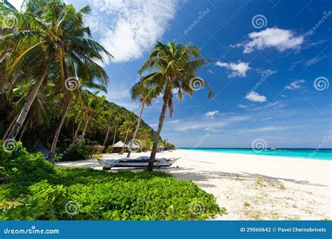 tropical scene stock photography image