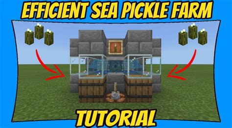 efficient sea pickle farm tutorial minecraft bedrock edition mcpe game designers hub