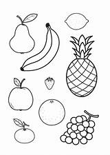 Fruta Dibujo sketch template