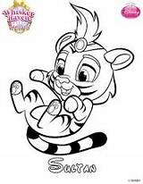 Coloring Pages Pets Palace Disney Princess Skgaleana Whisker Haven Printable Printables Activities Kids Colouring Pet Cute Sultan Pumpkin Had Little sketch template