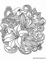 Fiori Uccello Posto Potete Cambiare sketch template