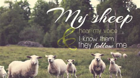 scripture  song  sheep hear  voice john   youtube
