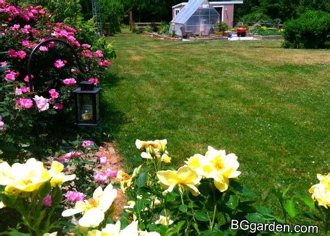 grow  ohio landscape design growing garden