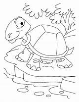 Coloring Pages Desert Tortoise Habitat Thirsty Sahara Printable Getcolorings Animals Getdrawings Oasis Color sketch template
