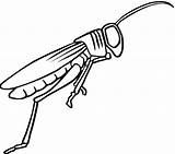 Locust Coloring Grasshopper Clipart Drawing Clipartpanda 6kb 525px Use Websites Presentations Reports Powerpoint Projects These Kids sketch template