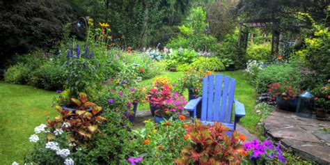 home gardening advice   create  beautiful yard