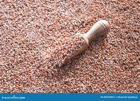 raw  red color rice stock image image  heap