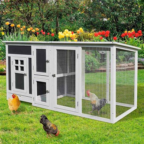 ready  raise chickens     chicken coops family handyman
