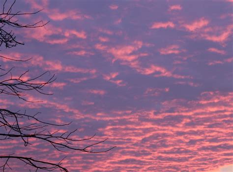 무료 이미지 수평선 구름 해돋이 일몰 새벽 분위기 황혼 저녁 잔광 모르 겐트 밝은 빨간색 아침에 붉은