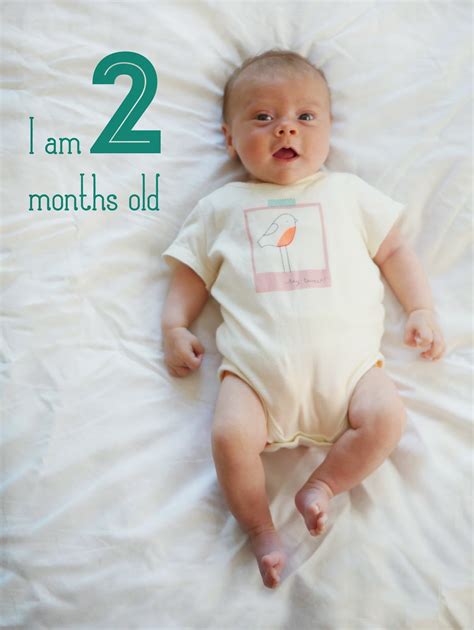 month  baby  rhode island baby portrait photographer heidi